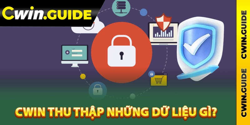 Cwin thu thập những dữ liệu gì?